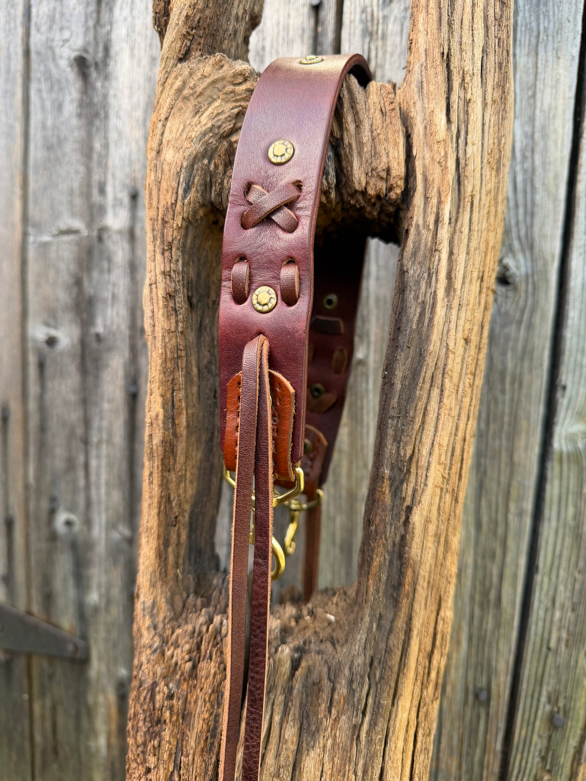 Bag Lady Strap in Horse Tack
